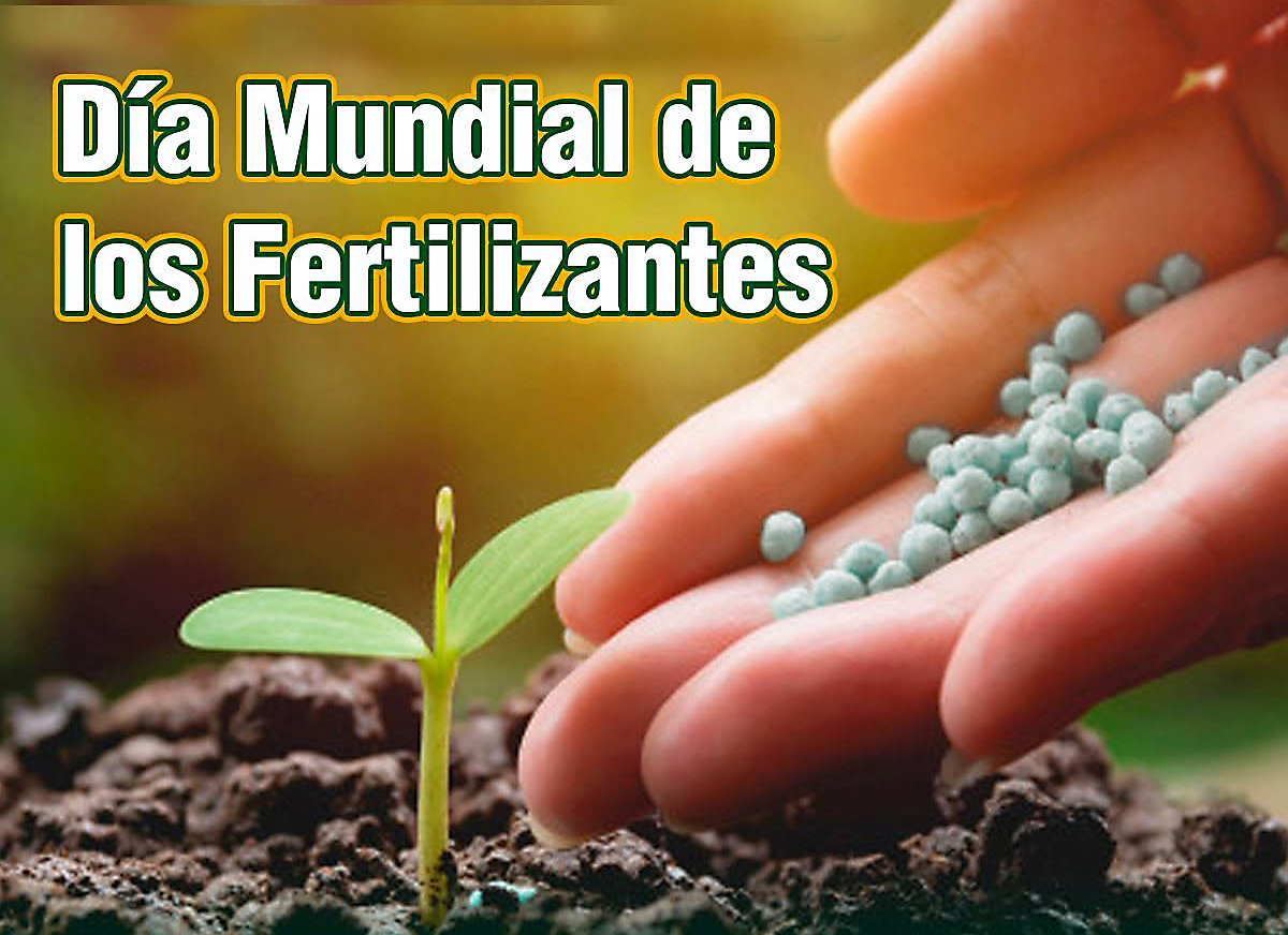 Día Mundial de los Fertilizantes: una innovación que alimenta al mundo